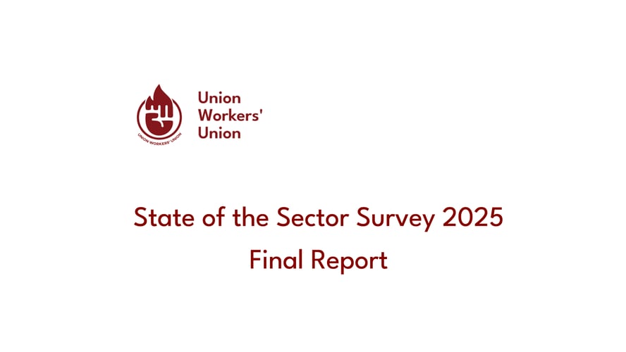 State of the Sector Survey 2025 - Final Report